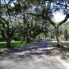 Wedgefield Plantation